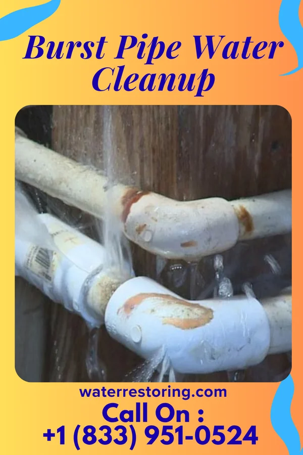 Burst Pipe Water Cleanup in Fairburn, SD