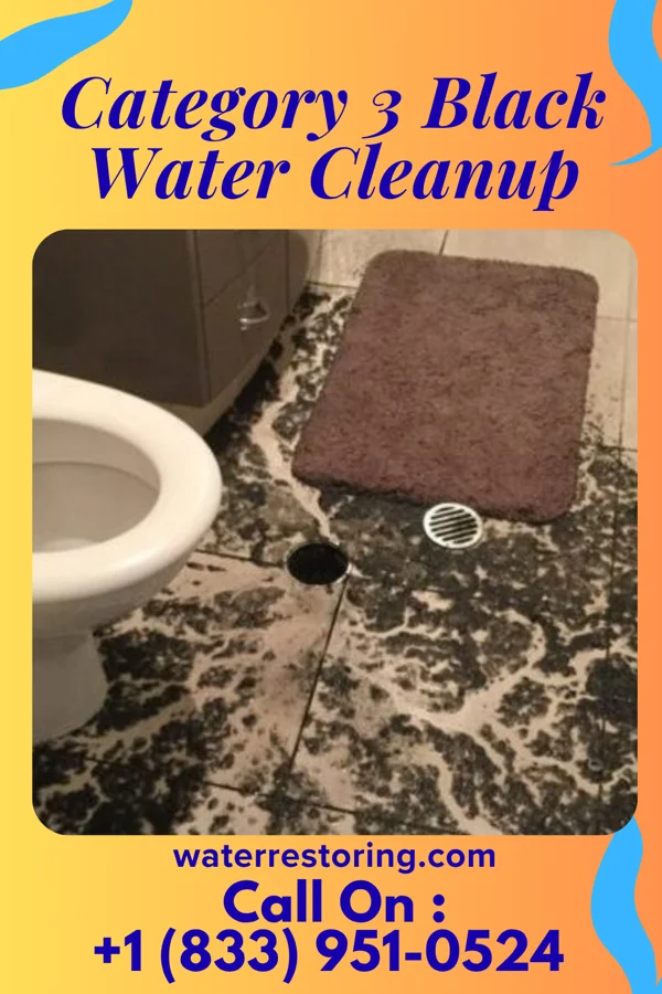 Category 3 Black Water Cleanup in Fairburn, SD