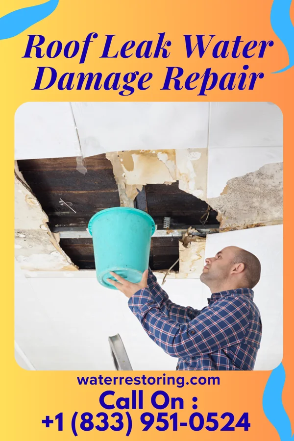 Roof Leak Water Damage Repair in Fairburn, SD